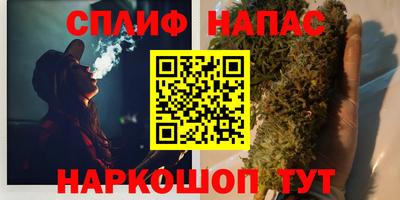 ALPHA PVP Гай