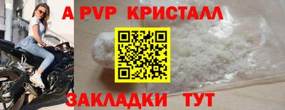ALPHA PVP Гай