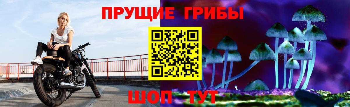 Галлюциногенные грибы Cubensis Можайск
