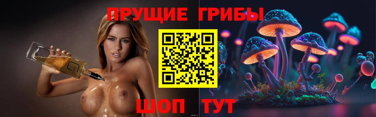 Галлюциногенные грибы мухоморы  Вход с VPN  Галлюциногенные грибы Psilocybine cubensis  Можайск 